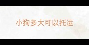 小狗多大可以托运