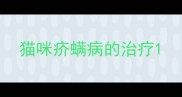 猫咪疥螨病的治疗