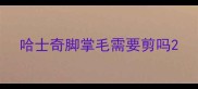 哈士奇脚掌毛需要剪吗