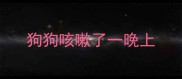 狗狗咳嗽了一晚上