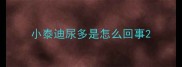 小泰迪尿多是怎么回事