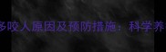 拉布拉多咬人原因及预防措施科学养护指南