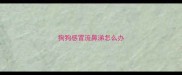 狗狗感冒流鼻涕怎么办