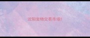 沈阳宠物交易市场