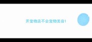 开宠物店不会宠物美容