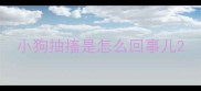 小狗抽搐是怎么回事儿