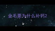 金毛要为什么补钙