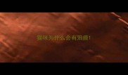 猫咪为什么会有泪痕