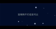 宠物狗不打疫苗可以