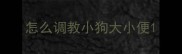 怎么调教小狗大小便