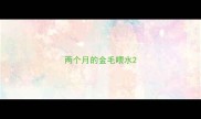 两个月的金毛喂水