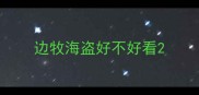 边牧海盗好不好看