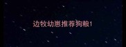边牧幼崽推荐狗粮