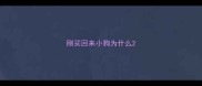 刚买回来小狗为什么