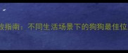 宠物犬家庭科学摆放指南不同生活场景下的狗狗最佳位置选择与注意事项