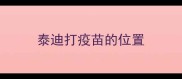 泰迪打疫苗的位置