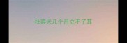 杜宾犬几个月立不了耳