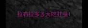 拉布拉多多大吃打虫