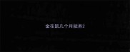 金花鼠几个月能养