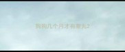 狗狗几个月才有睾丸