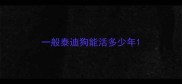 一般泰迪狗能活多少年