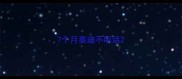 7个月泰迪不听话