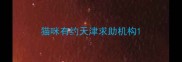猫咪有约天津求助机构