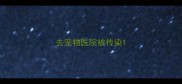 去宠物医院被传染