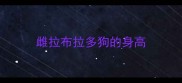 雌拉布拉多狗的身高