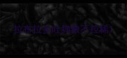 拉布拉多吐狗粮不拉稀