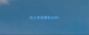 哈士奇是哪里品种