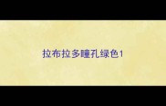 拉布拉多瞳孔绿色