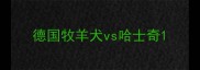 德国牧羊犬vs哈士奇