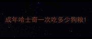 成年哈士奇一次吃多少狗粮