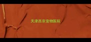 天津西京宠物医院