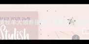 招远边牧出售纯种边境牧羊犬领养指南健康疫苗齐全附边牧挑选全攻略