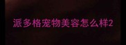 派多格宠物美容怎么样