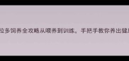 新手必看拉布拉多饲养全攻略从喂养到训练手把手教你养出健康聪明的大暖炉
