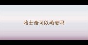 哈士奇可以燕麦吗