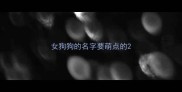 女狗狗的名字要萌点的