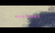 哈士奇小面积脱毛