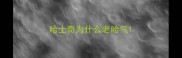 哈士奇为什么老哈气