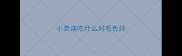小泰迪吃什么对毛色好