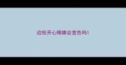 边牧开心眼睛会变色吗