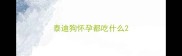 泰迪狗怀孕都吃什么
