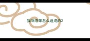 猫咪隐睾怎么造成的