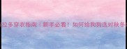 小拉布拉多穿衣指南新手必看如何给狗狗选对秋冬装备