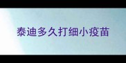 泰迪多久打细小疫苗