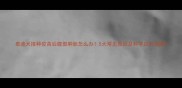 泰迪犬接种疫苗后腹部肿胀怎么办5大常见原因及科学应对指南