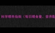边境牧羊犬3个月科学喂养指南每日喂食量营养配比喂养误区全